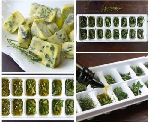 Freeze Fresh Herbs for Long-Term Storage