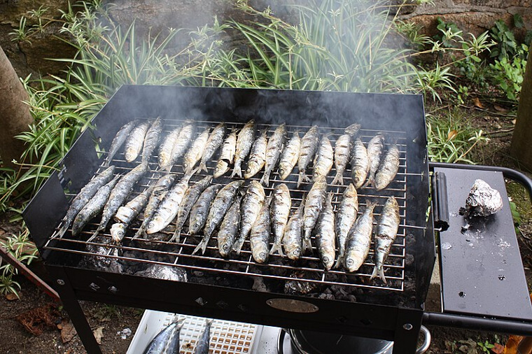 Sardines