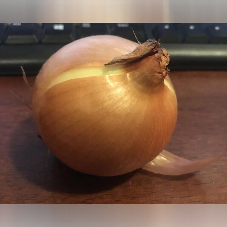 Onions Can Absorb Toxins From Your Microwave