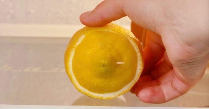 Never Worry About Your Lemons Going Bad
