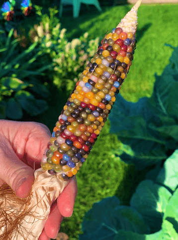 You'll Never Guess What This Beauty Is