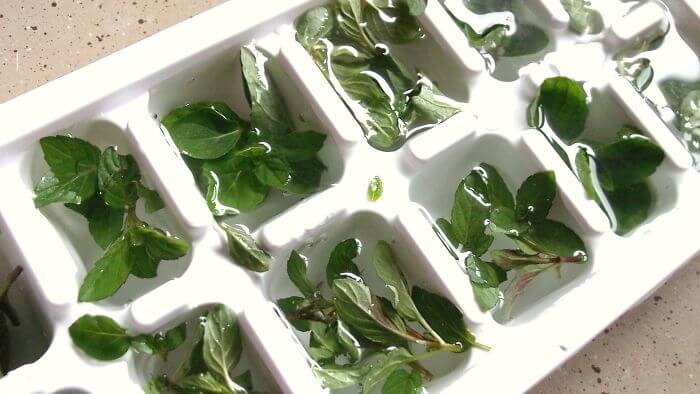 Freeze Fresh Herbs For This Reason