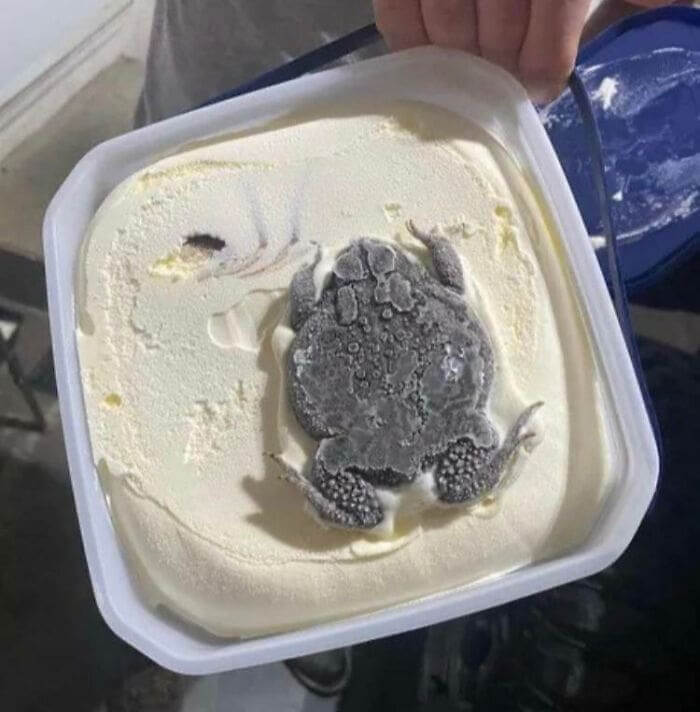 Someone Found This In Their Ice Cream