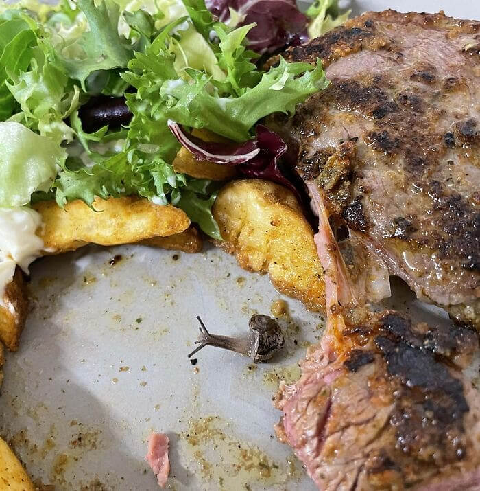 Steak And Snail, The Perfect Duo