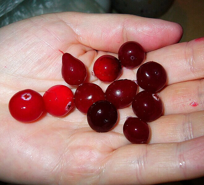 Cranberries