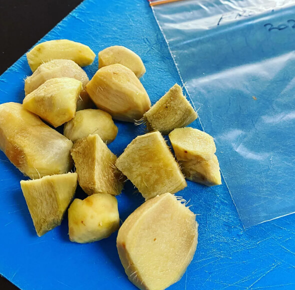 Ginger