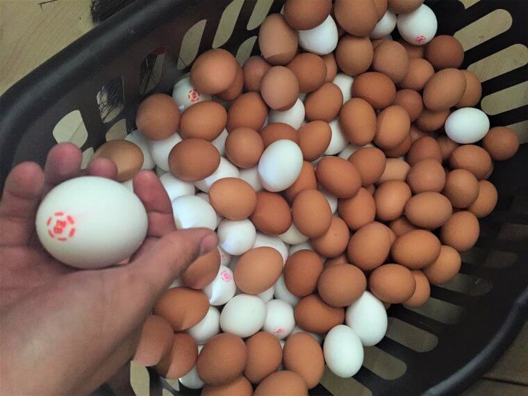 Elevate Your Recipes With Room-Temperature Eggs