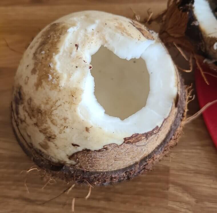 Coconut