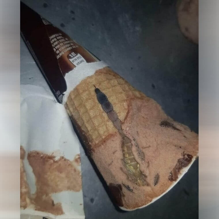 Someone Found A Scorpion In Their Ice Cream