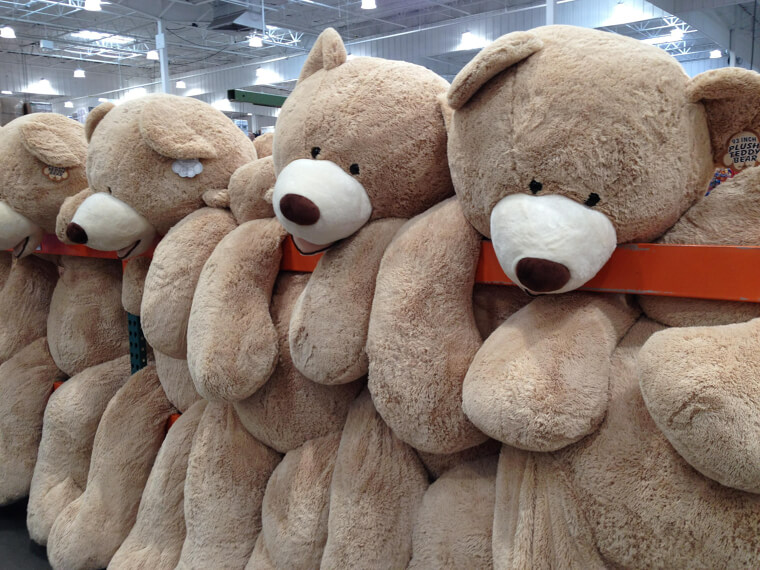 Giant Plush Bears