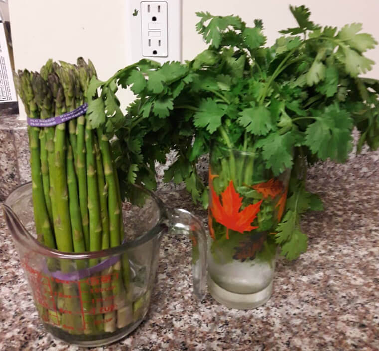 Store Asparagus Like Flowers