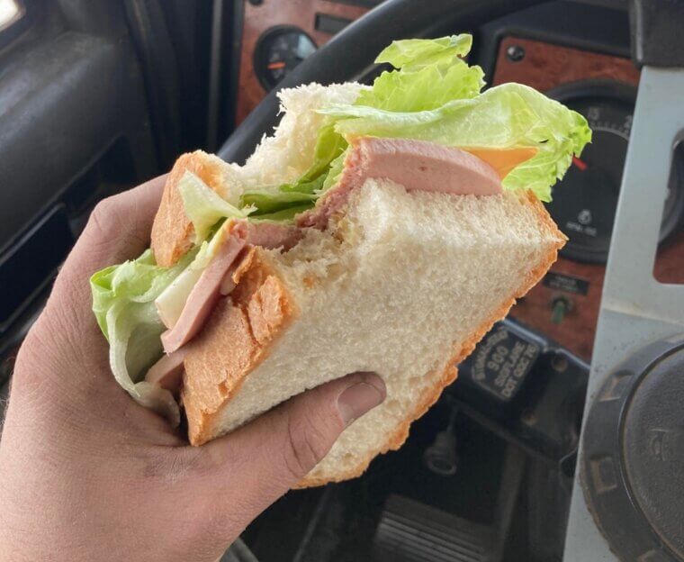 Bologna and Cheese Sandwich