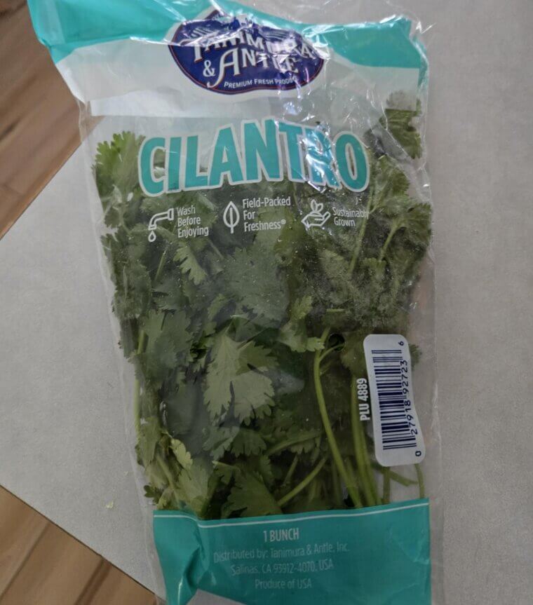 Cilantro