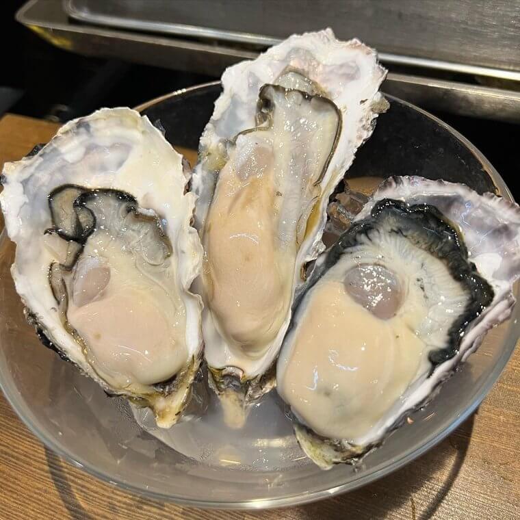 Oysters