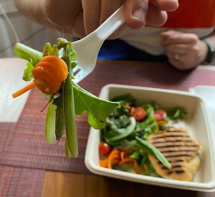 Leafy Green Or Camouflaged Bug?