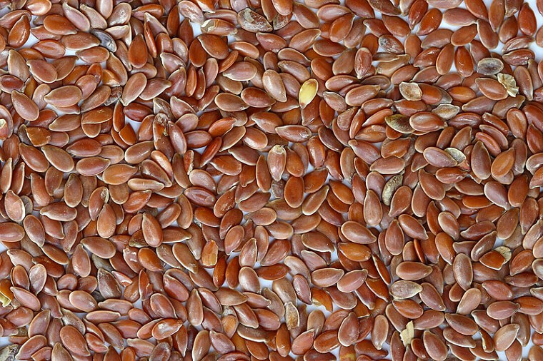 Flax Seeds