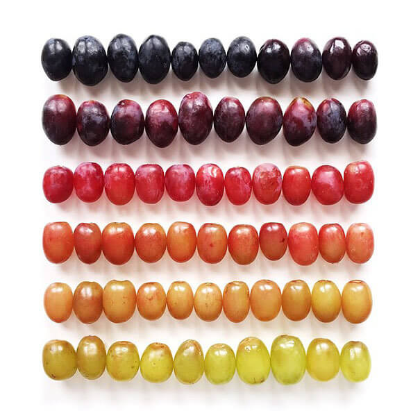 A Color Grapient