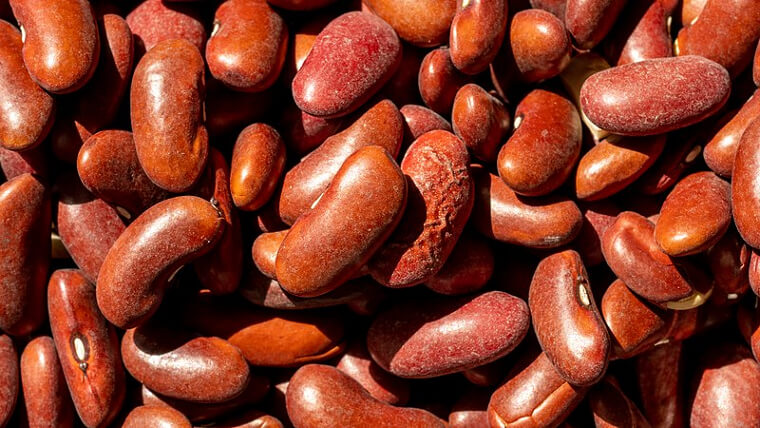 Kidney Beans