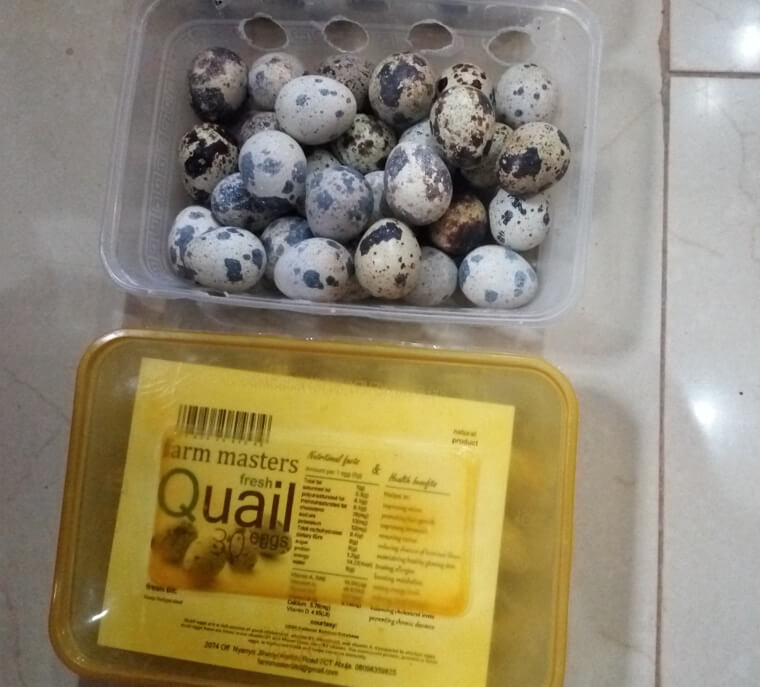 Quail Eggs Are Better Than Chicken Eggs