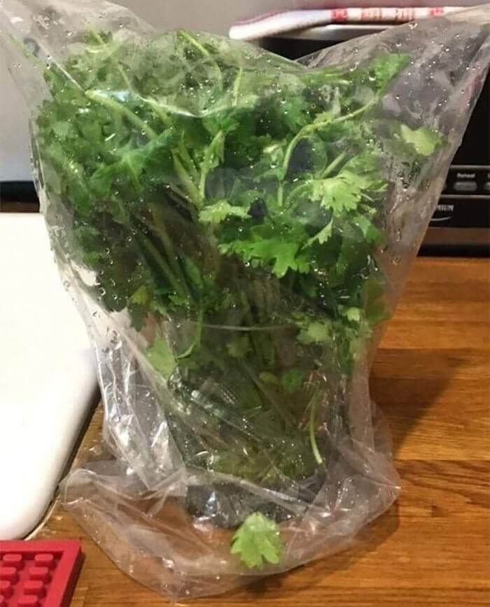 Treat Your Delicate Herbs Like Flowers