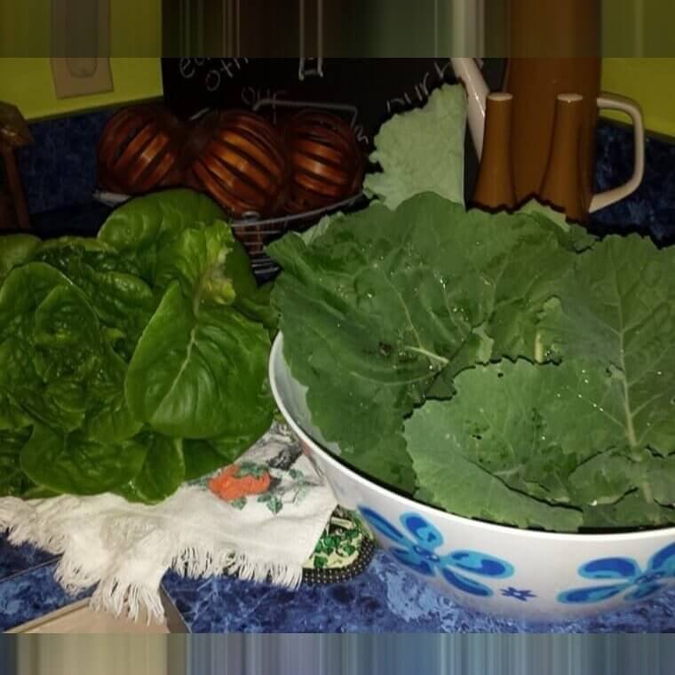 Leafy Greens Can Explode When Microwaved