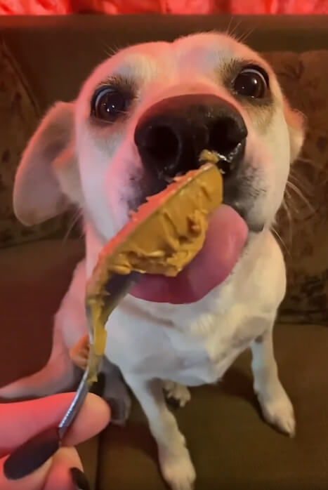 You'll Never Look at Your Jar of Peanut Butter the Same