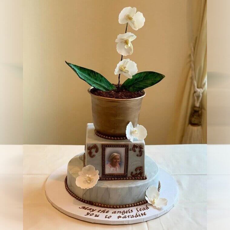 We're Rooting for This Cake