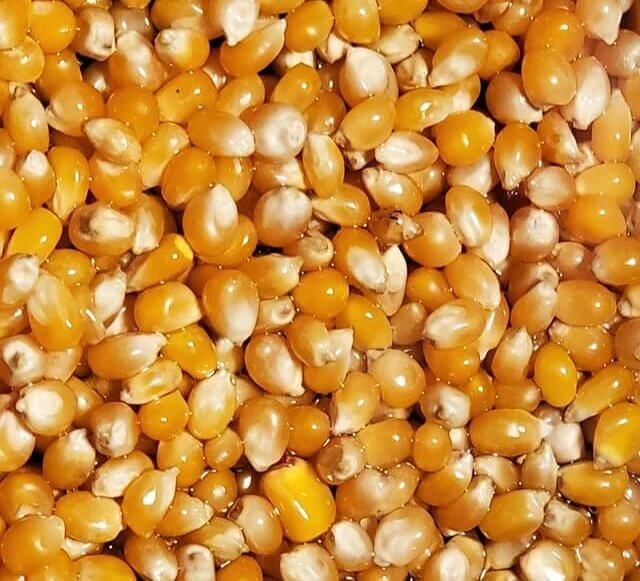 You Can Save the Leftover Popcorn Kernels