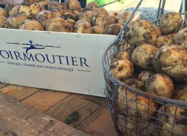 Le Bonnotte Potatoes (around $225 per Pound)
