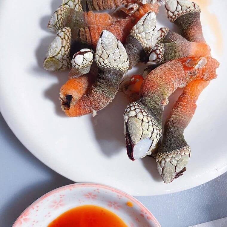 Goose Barnacles (around $225 a Pound)
