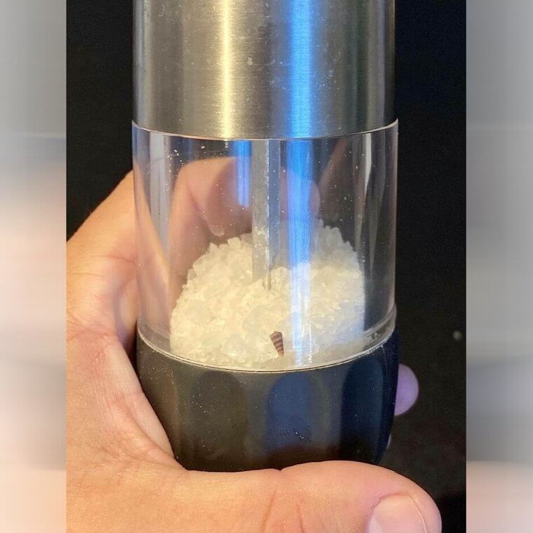 Sea Salt With A Dash Of Sea Shell