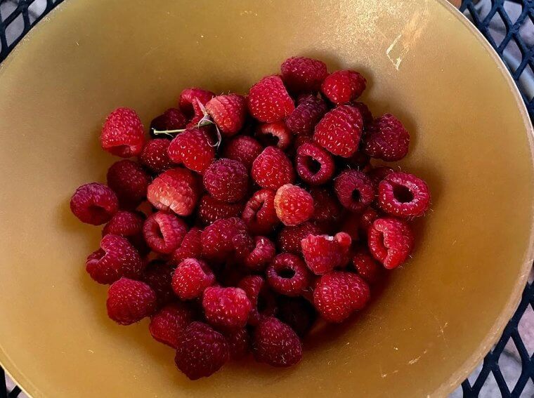 Raspberries
